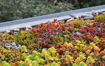 the cost of Mount Sion green roof installation