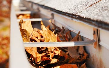 Mount Sion gutter cleaning companies