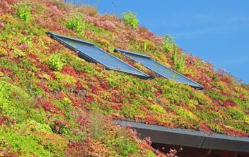 Mount Sion living roof systems