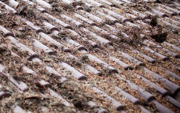 Mount Sion roof cleaning companies