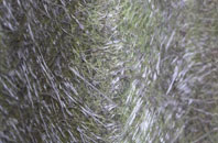 Mount Sion fibreglass roof work