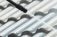 rated Mount Sion roof cleaning companies