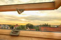 rated Mount Sion roof window companies