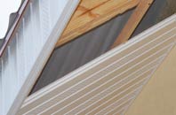 rated Mount Sion soffit repair companies
